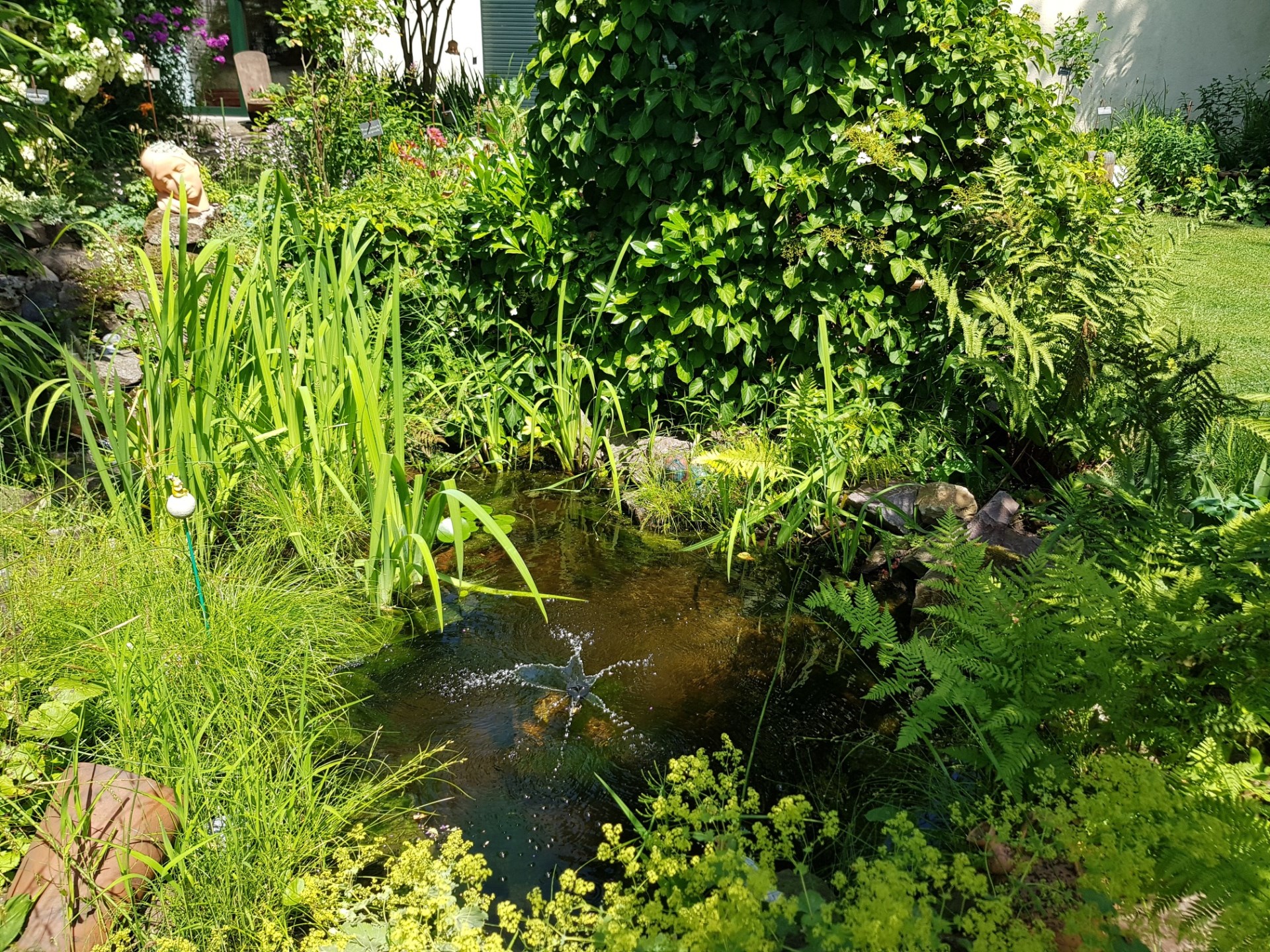 170 Interessierte besuchten den privaten Garten der Familie Gerling in